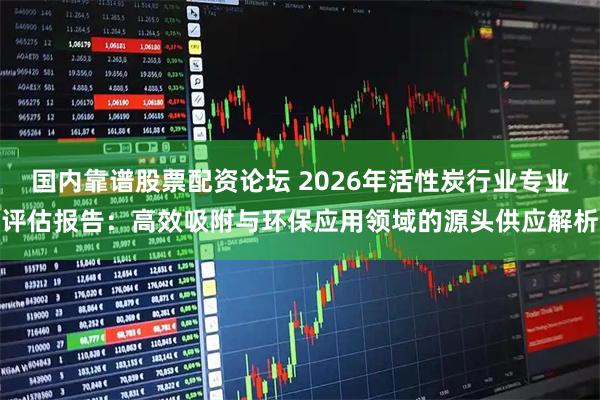 国内靠谱股票配资论坛 2026年活性炭行业专业评估报告：高效吸附与环保应用领域的源头供应解析